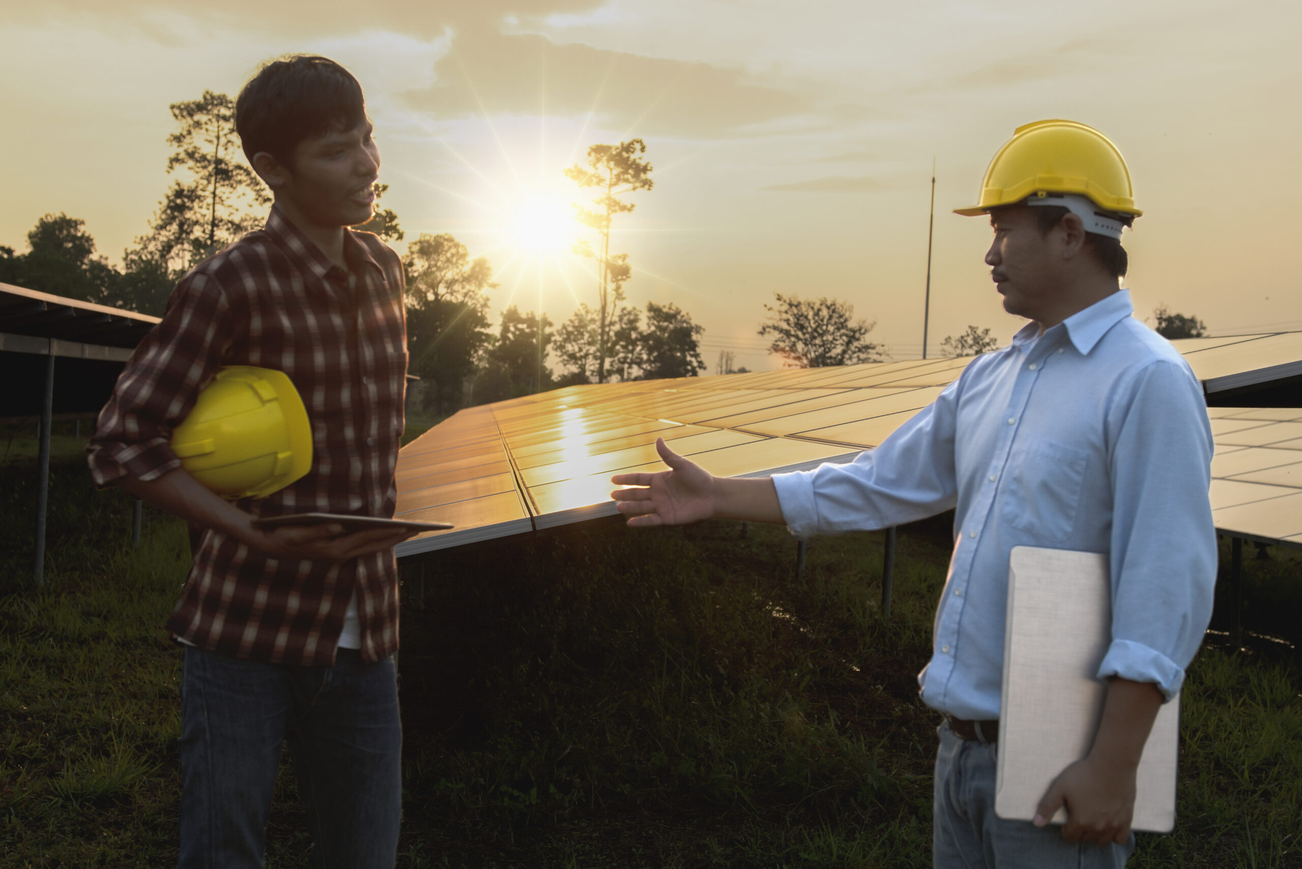rear view man standing against trees scaled